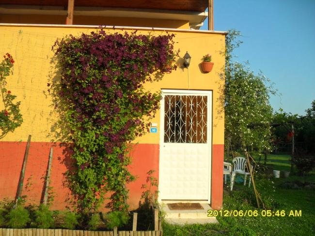 Name:  015.jpg
Views: 664
Size:  65.8 KB