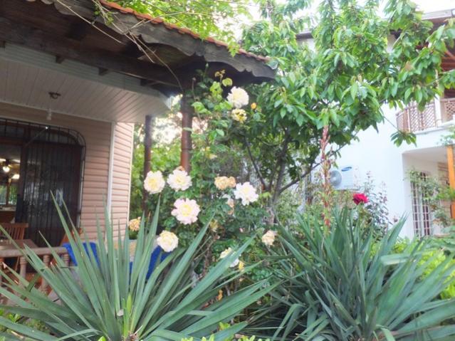 Name:  DSCF2822.jpg
Views: 607
Size:  65.7 KB