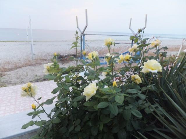 Name:  DSCF2844.jpg
Views: 751
Size:  41.5 KB