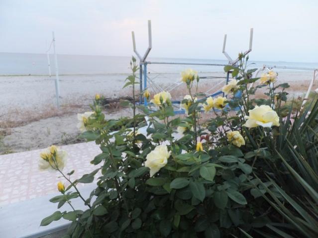 Name:  DSCF2845.jpg
Views: 517
Size:  41.1 KB