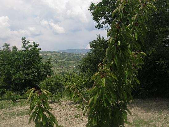 Name:  bahe.JPG
Views: 1046
Size:  63.5 KB