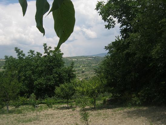 Name:  bahe1.JPG
Views: 1047
Size:  62.2 KB
