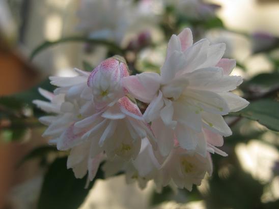 Name:  havlu pskl2.JPG
Views: 1141
Size:  35.3 KB