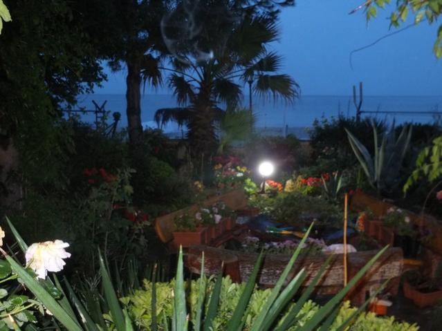 Name:  DSCF2944.jpg
Views: 483
Size:  44.7 KB