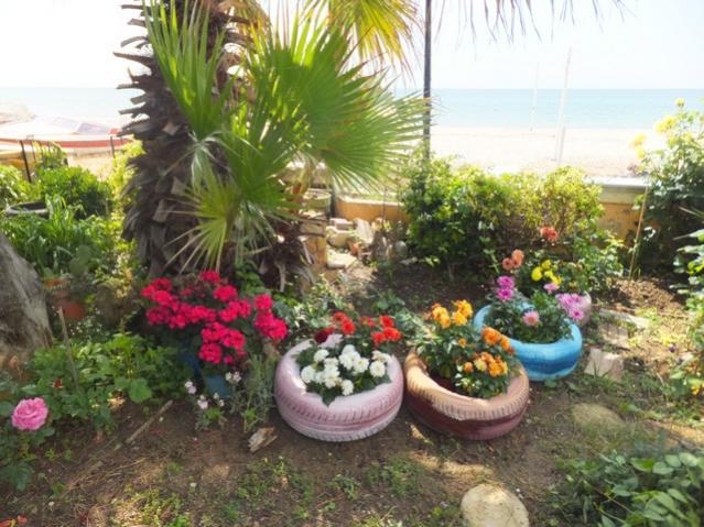 Name:  DSCF2970.jpg
Views: 3106
Size:  63.2 KB