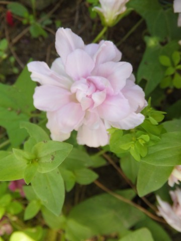 Name:  DSCF3318.jpg
Views: 363
Size:  42.1 KB