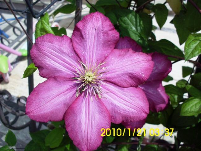 Name:  DSCI1919.jpg
Views: 574
Size:  52.7 KB