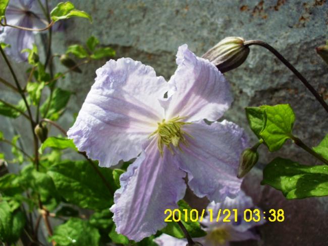 Name:  DSCI1924.jpg
Views: 720
Size:  48.8 KB