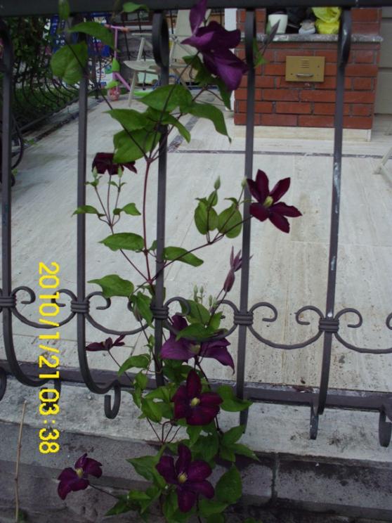 Name:  DSCI1925.jpg
Views: 712
Size:  67.0 KB