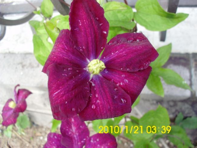 Name:  DSCI1927.jpg
Views: 700
Size:  42.0 KB
