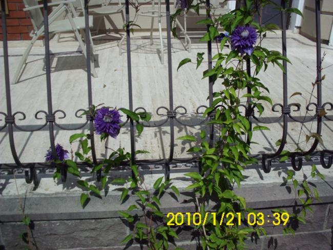Name:  DSCI1931.jpg
Views: 591
Size:  65.3 KB