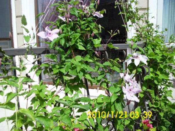 Name:  DSCI1932.jpg
Views: 607
Size:  72.5 KB