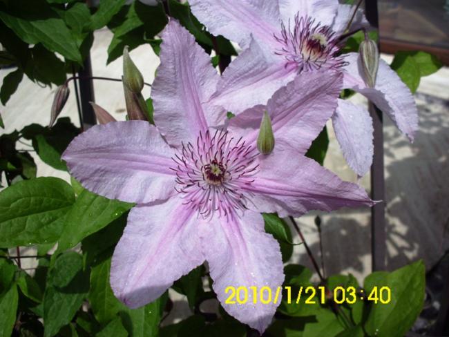 Name:  DSCI1933.jpg
Views: 611
Size:  52.1 KB