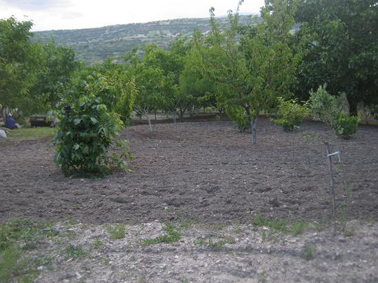 Name:  apa fark1.JPG
Views: 1058
Size:  65.2 KB