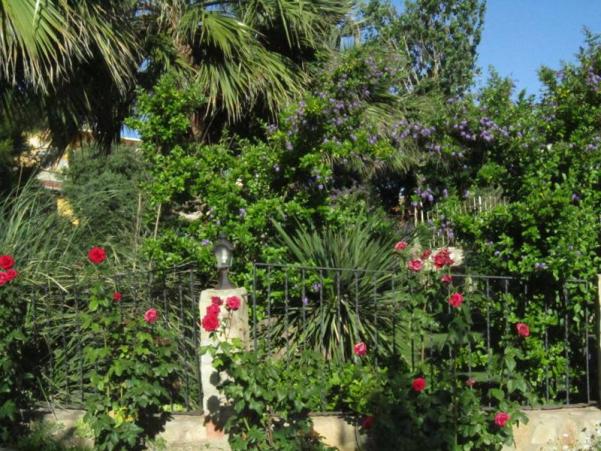 Name:  jungle bell1.jpg
Views: 882
Size:  72.5 KB