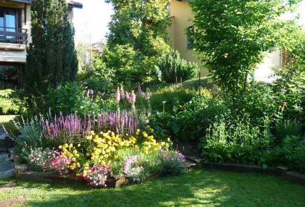 Name:  Bahe 8 Haziran 2012 006.JPG
Views: 1457
Size:  67.9 KB
