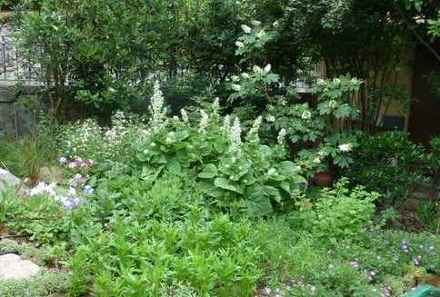 Name:  Bahe 10 Haziran 2012 016.JPG
Views: 1277
Size:  46.5 KB