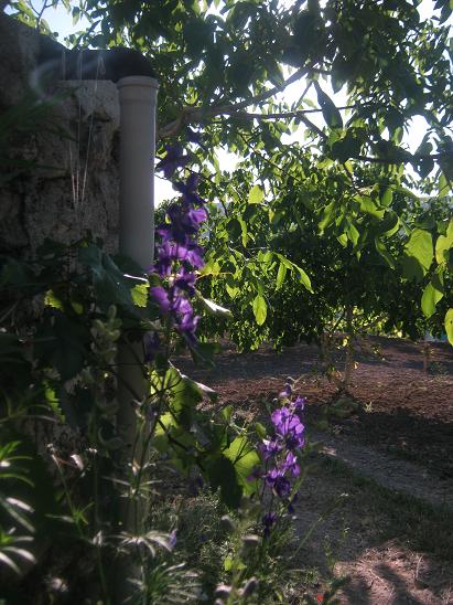Name:  bahe.JPG
Views: 1263
Size:  68.1 KB