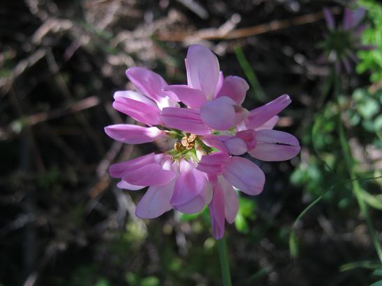 Name:  pembeli.JPG
Views: 1194
Size:  41.2 KB