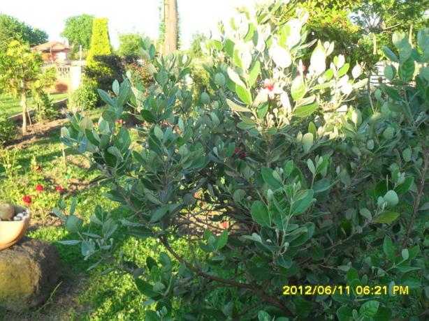 Name:  041.jpg
Views: 840
Size:  71.4 KB