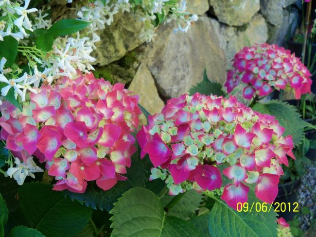 Name:  100_4721.jpg
Views: 663
Size:  62.8 KB