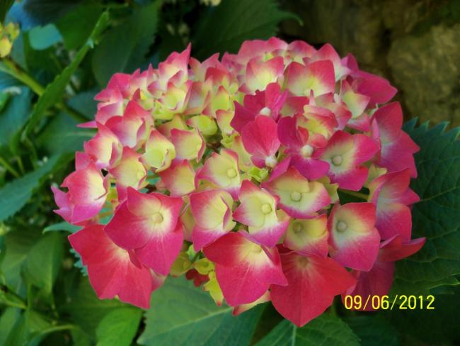 Name:  100_4728.jpg
Views: 615
Size:  43.6 KB