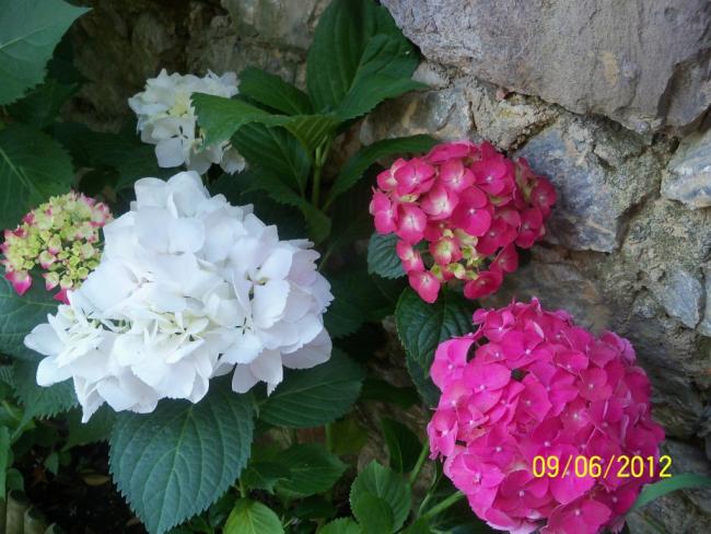 Name:  100_5187.jpg
Views: 629
Size:  55.6 KB