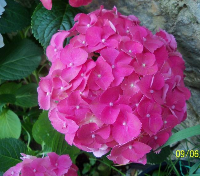 Name:  100_5189.jpg
Views: 657
Size:  55.9 KB