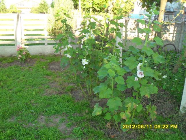 Name:  046.jpg
Views: 1009
Size:  70.3 KB