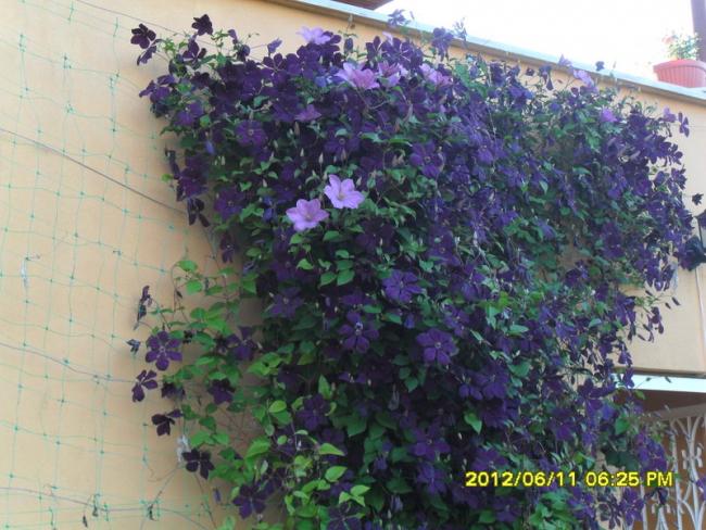 Name:  059.jpg
Views: 1030
Size:  59.4 KB