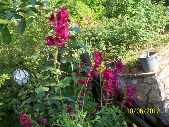 Name:  100_5427.jpg
Views: 668
Size:  72.6 KB