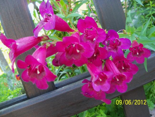 Name:  100_4903.jpg
Views: 638
Size:  53.0 KB