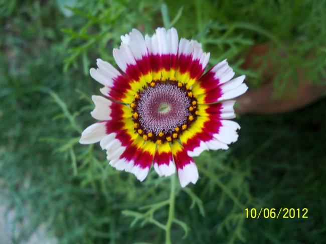 Name:  100_5289.jpg
Views: 656
Size:  38.4 KB