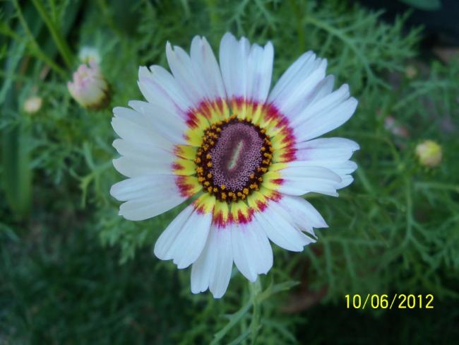 Name:  100_5292.jpg
Views: 673
Size:  36.8 KB