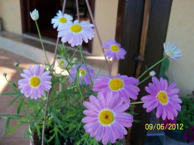Name:  100_4826.jpg
Views: 682
Size:  41.9 KB
