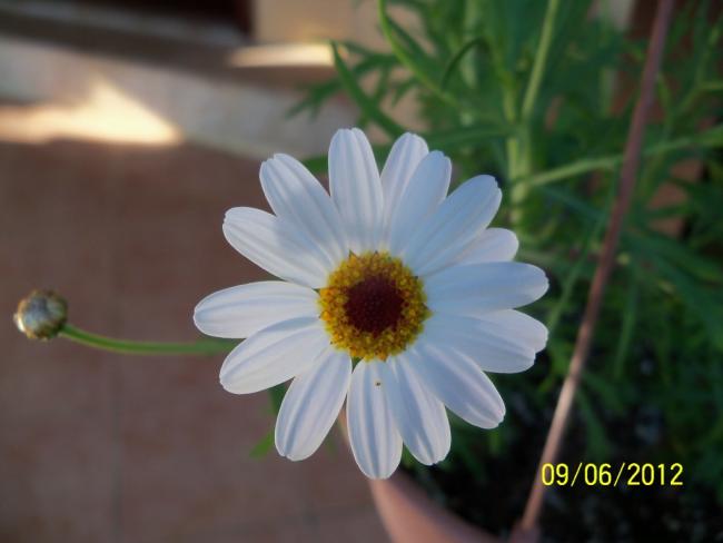 Name:  100_4828.jpg
Views: 644
Size:  27.2 KB