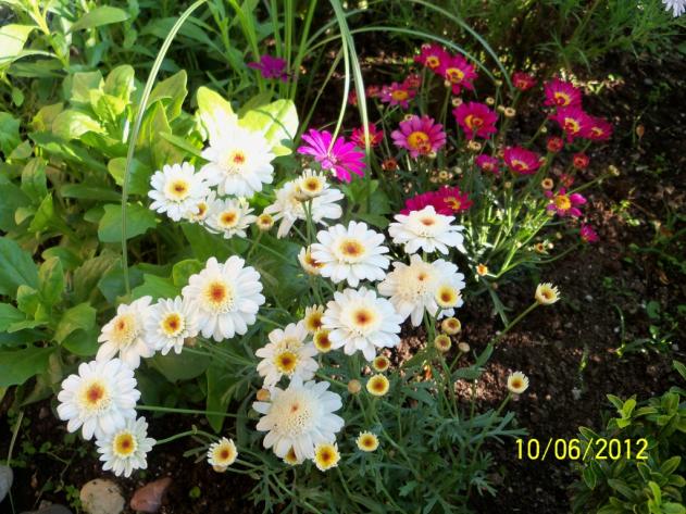 Name:  100_5419.jpg
Views: 659
Size:  71.1 KB