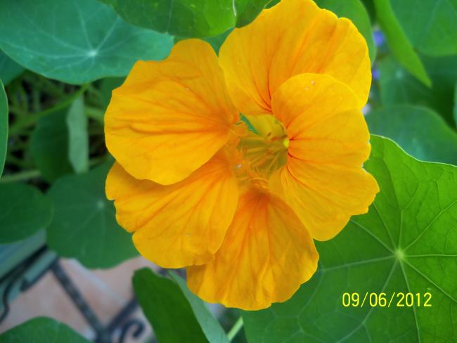 Name:  100_5148.jpg
Views: 665
Size:  32.2 KB