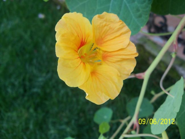 Name:  100_5145.jpg
Views: 675
Size:  31.0 KB