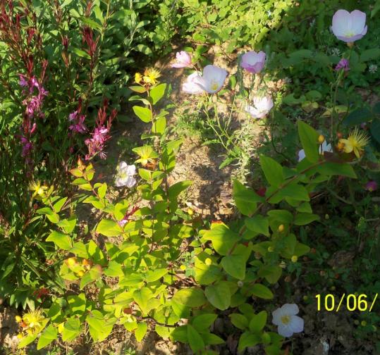 Name:  100_5470.jpg
Views: 625
Size:  74.1 KB