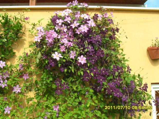 Name:  126.jpg
Views: 766
Size:  71.1 KB