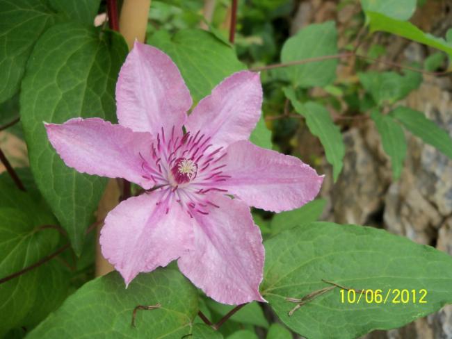 Name:  100_5243.jpg
Views: 630
Size:  40.0 KB