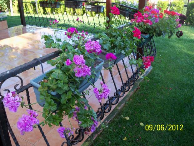 Name:  100_4760.jpg
Views: 632
Size:  71.1 KB