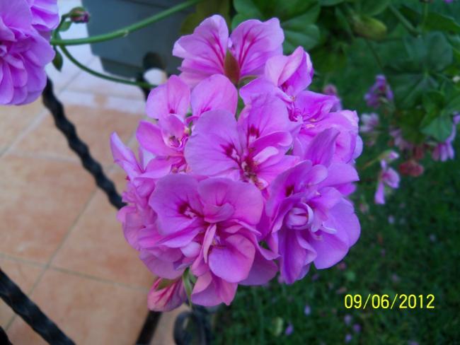 Name:  100_4757.jpg
Views: 591
Size:  39.6 KB