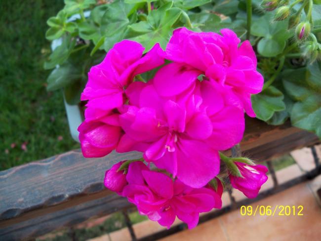 Name:  100_4766.jpg
Views: 600
Size:  41.6 KB
