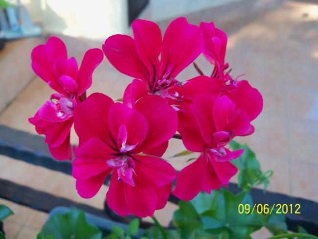 Name:  100_4768.jpg
Views: 619
Size:  34.8 KB