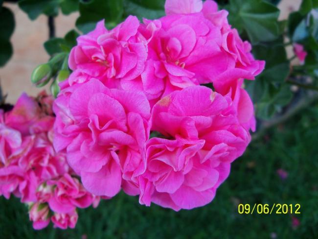 Name:  100_4784.jpg
Views: 622
Size:  42.2 KB