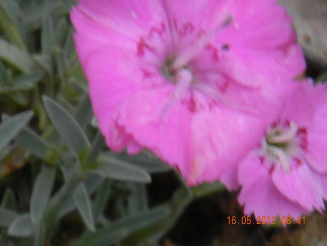 Name:  DSCN1100.jpg
Views: 801
Size:  26.1 KB
