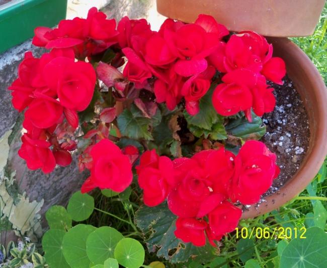 Name:  100_5391.jpg
Views: 572
Size:  56.6 KB
