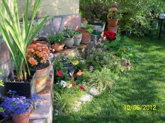 Name:  100_5450.jpg
Views: 583
Size:  71.9 KB